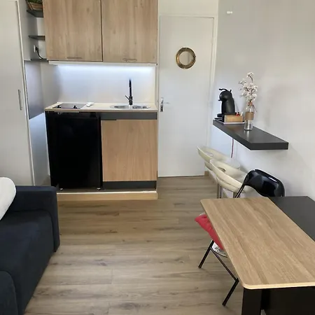 Cosy A 250 M De La Plage, Pointe Croisette 戛纳