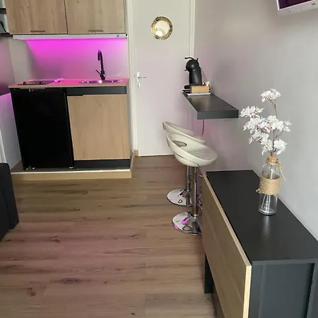 Lägenhet Cosy A 250 M De La Plage, Pointe Croisette *