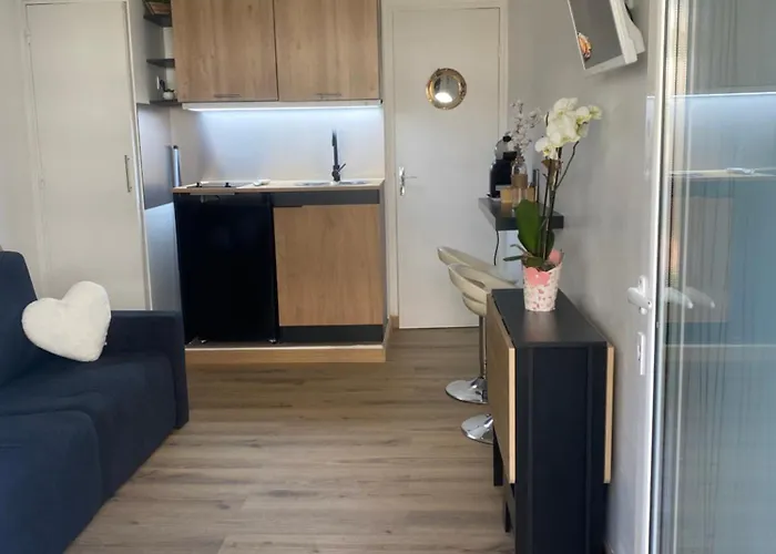 Lägenhet Cosy A 250 M De La Plage, Pointe Croisette Cannes