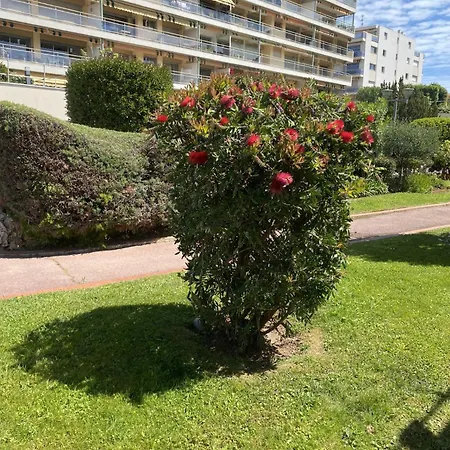 Cosy A 250 M De La Plage, Pointe Croisette