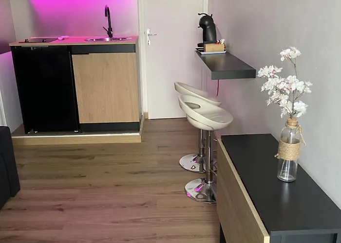 Apartman Cosy A 250 M De La Plage, Pointe Croisette *